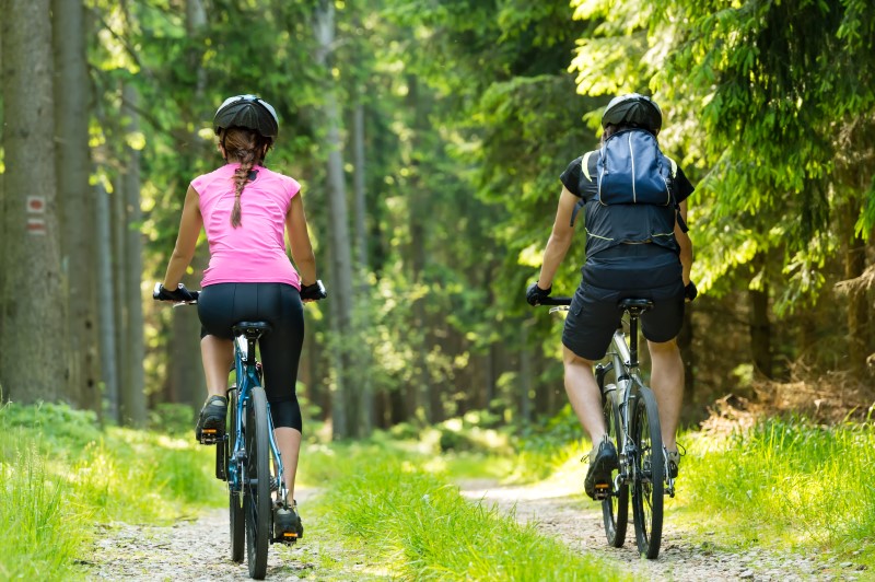 5690457-bikers-in-forest-cycling-on-track.jpg